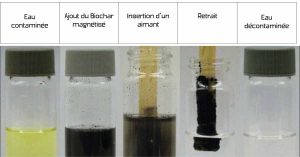 Lire la suite à propos de l’article Projet Biochar : dépolluer les eaux