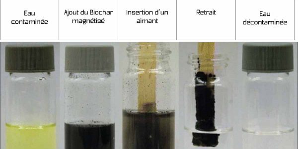 BTS-Anabiotec_Biochar-UPJV