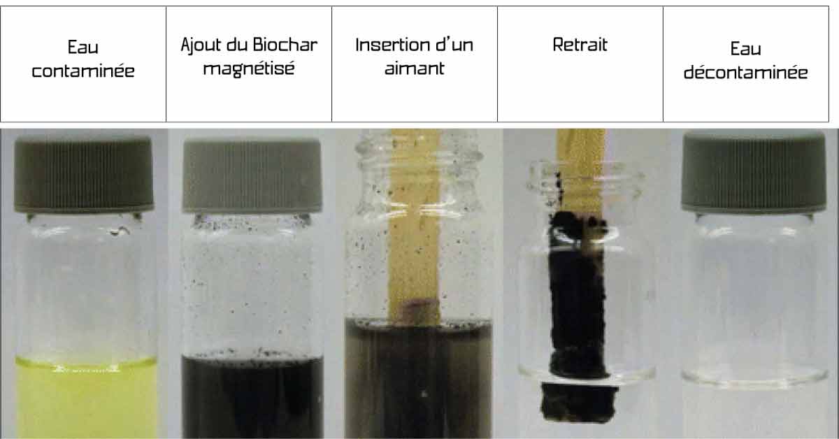 You are currently viewing Projet Biochar : dépolluer les eaux