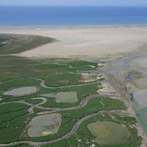 baie-de-somme_web