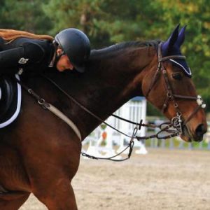 equitation-hippologie-lycee-agricole-amiens