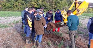 Lire la suite à propos de l’article Projet CASDAR Transition Agro-écologique