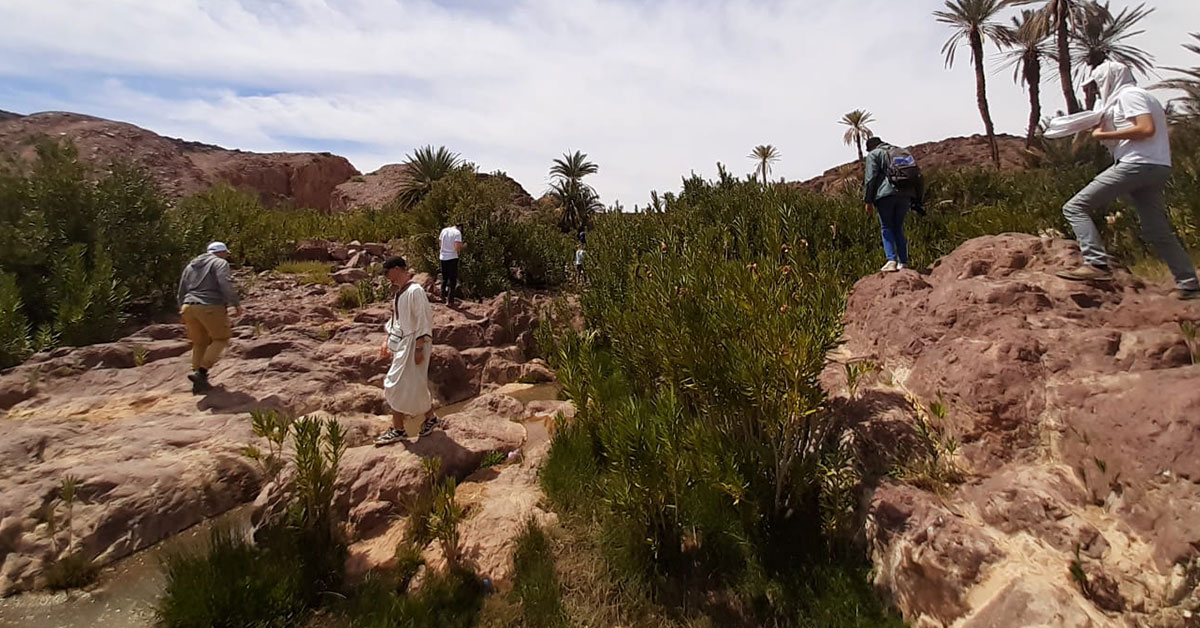 You are currently viewing Carnet de voyage au Maroc avec les BTSA Gemeau